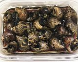 簡単 バイ貝の山椒煮作り方7写真