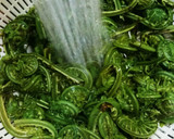 こごみと油揚げの胡麻和え作り方3写真