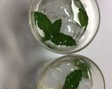 ミント水作り方5写真