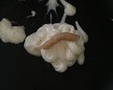 イカとスナップエンドウのマヨ炒め作り方2写真