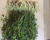 豆苗とアボガドチーズの豚バラ巻き♪作り方1写真