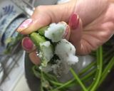 茹でずに簡単！ワラビのアク抜き作り方2写真