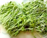 豚肉と豆苗のクミンオイル炒め作り方1写真