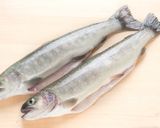 岩魚のポワレ ラタトゥイユソース作り方1写真