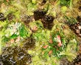 まぢ旨☆大根葉のかきあげ。作り方4写真