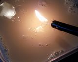 とろりん豆腐作り方4写真