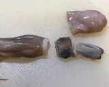 「そら豆・タコ・三つ葉 ・炊き込み御飯」作り方8写真