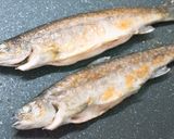岩魚のポワレ ラタトゥイユソース作り方13写真