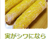 実がシワにならない！とうもろこしの茹で方作り方5写真