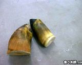 簡単♪たけのこ/あく抜き/ゆで方/保存作り方16写真