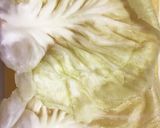 昆布だし香る和風ロールキャベツ作り方18写真