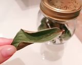 野菜チキンカレー作り方10写真