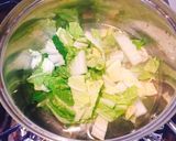 香味ペーストだけで作る白菜の中華スープ作り方4写真