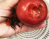 簡単 和風だしトマト作り方5写真