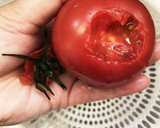 簡単 和風だしトマト作り方5写真