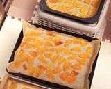 夏みかんのピール とついでにジャムとか作り方18写真