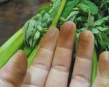 ウドの肉巻き作り方1写真