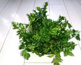 ぱぱっと♬せりご飯作り方1写真