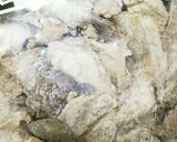 名古屋風どて煮＊牛スジ煮込み・もつ煮込み作り方2写真