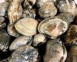 アサリの酒蒸し作り方1写真