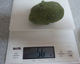 ふんわり柔らか♪よもぎあんぱん作り方12写真