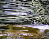 昆布締めの昆布で、ミニお好み焼風作り方1写真