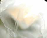 糖質制限*大豆粉で作る低糖質ロールケーキ作り方13写真
