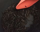 簡単☆ひじきとサバ缶 ツナ缶 給食レシピ作り方2写真