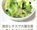 レタスのチョレギ風サラダ♡作り方18写真