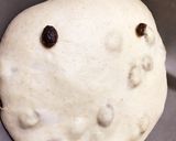 パネトーネマザー酵母のカンパーニュ作り方2写真