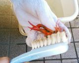 初挑戦でもイケました！ザリガニ塩蒸し　作り方2写真