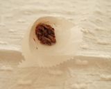 【便利】ミニサイズのチョコペンストック作り方11写真