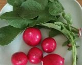 ご飯にバッチリ！ラディッシュの葉の佃煮作り方1写真