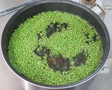 実山椒の下処理作り方7写真