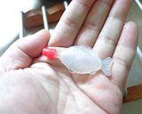 最適のお寿司の醤油のつけかた作り方1写真