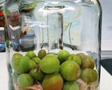 小梅の醤油漬け作り方6写真