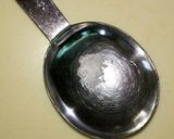 茎も旨うま♪空心菜のにんにく炒め作り方1写真