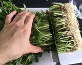 白だしと酢でさっぱり♪豆苗ツナサラダ作り方2写真