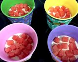 レンジで簡単パンナコッタ&スイカジュレ作り方9写真