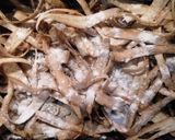 根菜の食感楽しむ♪鶏胸の揚げ焼きサラダ☆作り方3写真