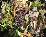 からし菜と鶏肉のクレイジーソルト炒め作り方3写真
