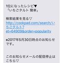 いちごタルト 簡単作り方19写真