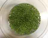 実山椒の醤油漬作り方1写真
