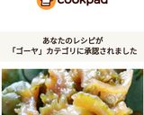 苦瓜と梅のチャツネ☆苦瓜の梅風味佃煮作り方4写真