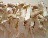 麻婆シリーズ（２）麻婆エリンギ。作り方4写真