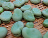 青臭さをなくすそら豆の茹で方作り方9写真