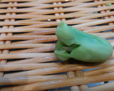 青臭さをなくすそら豆の茹で方作り方10写真