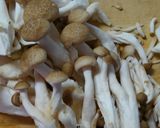 簡単！新玉ねぎと きのこの中華スープ！作り方4写真