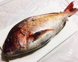 釣り名人秘伝の味★鯛の漬け丼♬作り方1写真