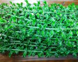 穂紫蘇の醤油漬け 　（紫蘇の実）薄口醤油作り方1写真